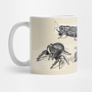 insects illustration, bee, spider and grasshopper Mug